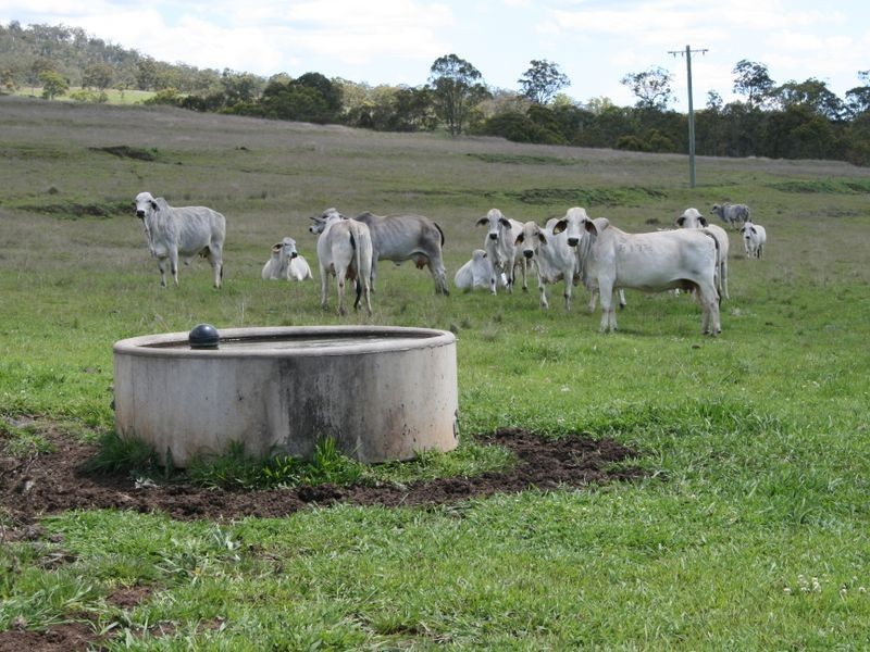 Lot 1 Cunningham Highway, Maryvale QLD 4370
