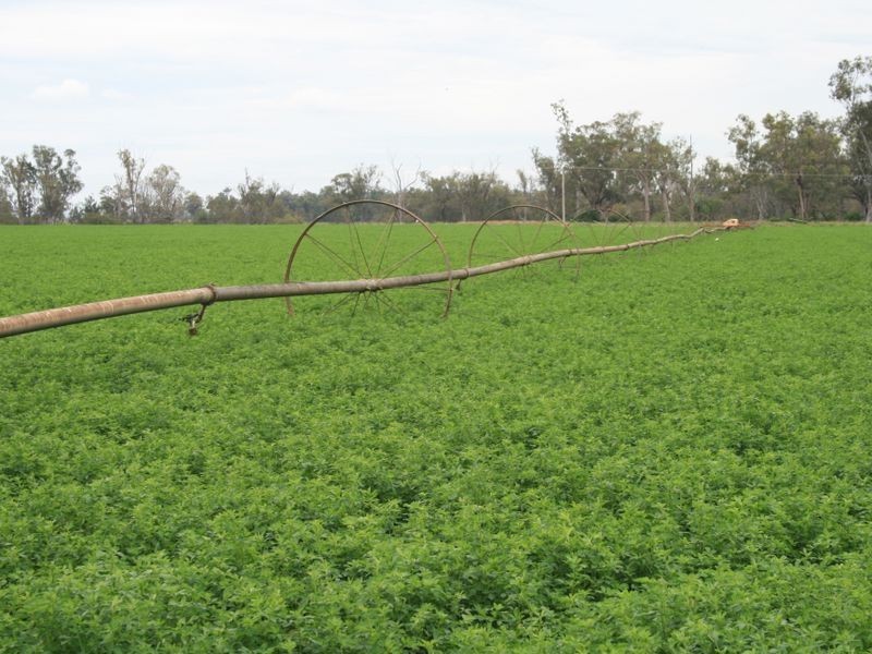 Lot 30 Tobacco Road, Inglewood QLD 4387