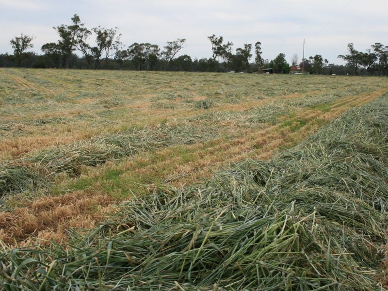 Lot 30 Tobacco Road, Inglewood QLD 4387