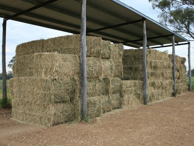 Lot 30 Tobacco Road, Inglewood QLD 4387