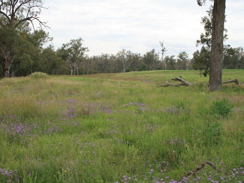Lot 30 Tobacco Road, Inglewood QLD 4387