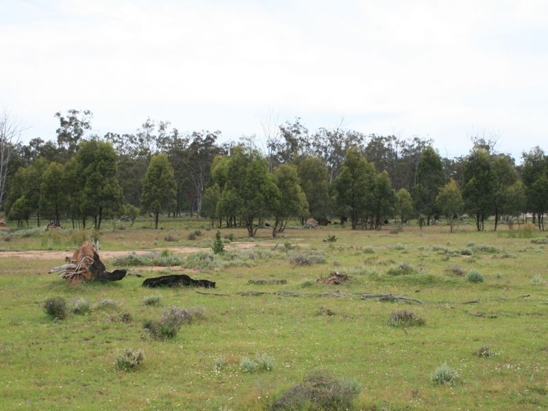 Lot 30 Tobacco Road, Inglewood QLD 4387