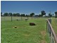 251 Cullendore Road, Murrays Bridge QLD 4370
