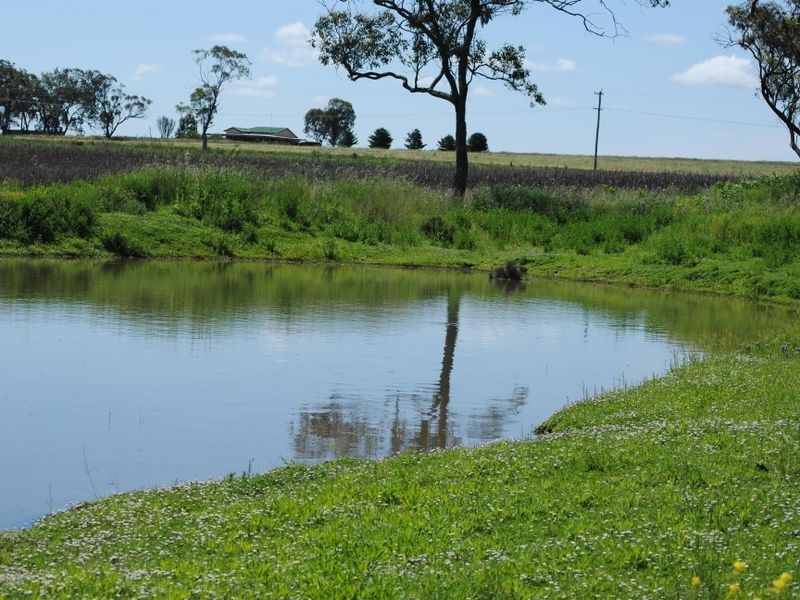 572 Roona Road, Warwick QLD 4370