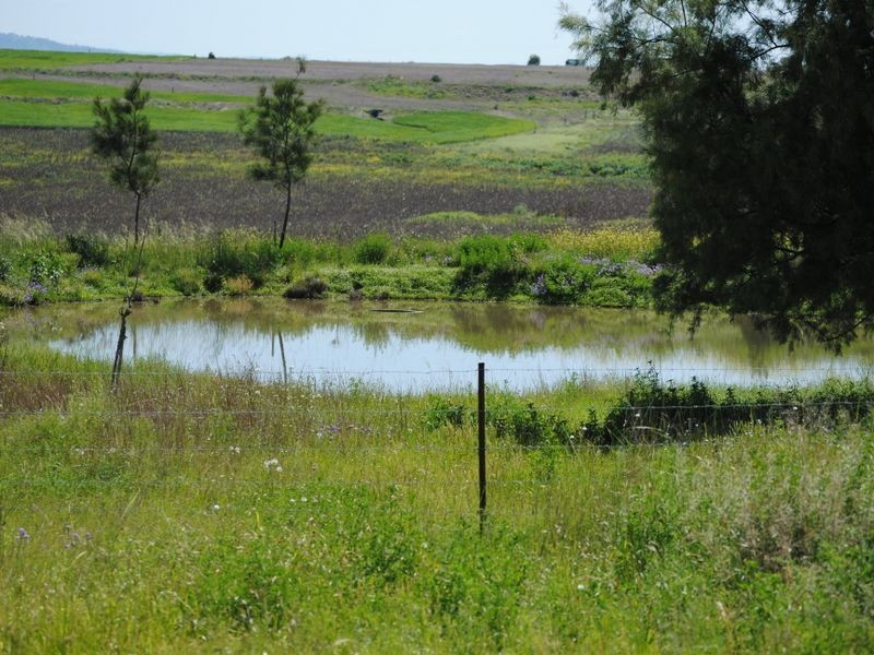 572 Roona Road, Warwick QLD 4370