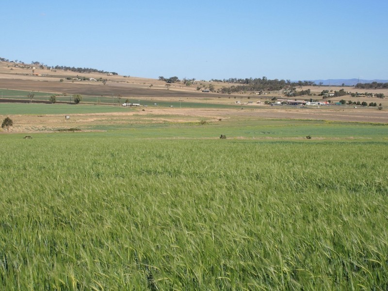 Warwick QLD 4370