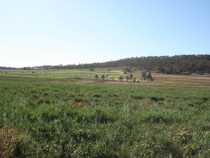 Warwick QLD 4370