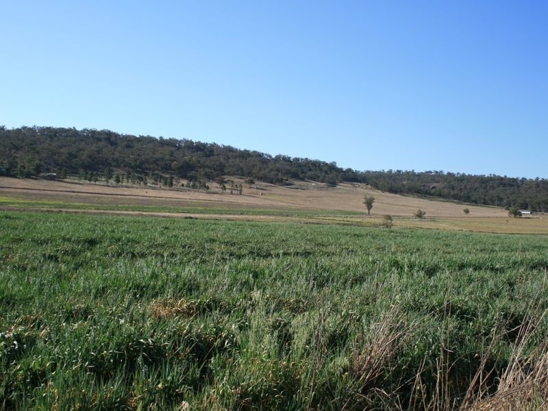 Warwick QLD 4370