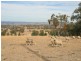 6281 Texas Road, Glenlyon QLD 4380