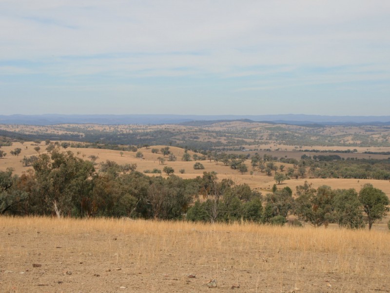 6281 Texas Road, Glenlyon QLD 4380