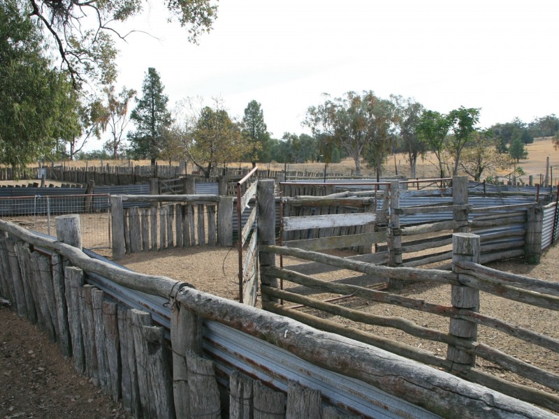 6281 Texas Road, Glenlyon QLD 4380