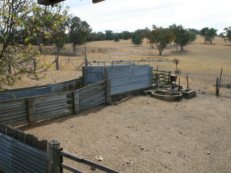 6281 Texas Road, Glenlyon QLD 4380