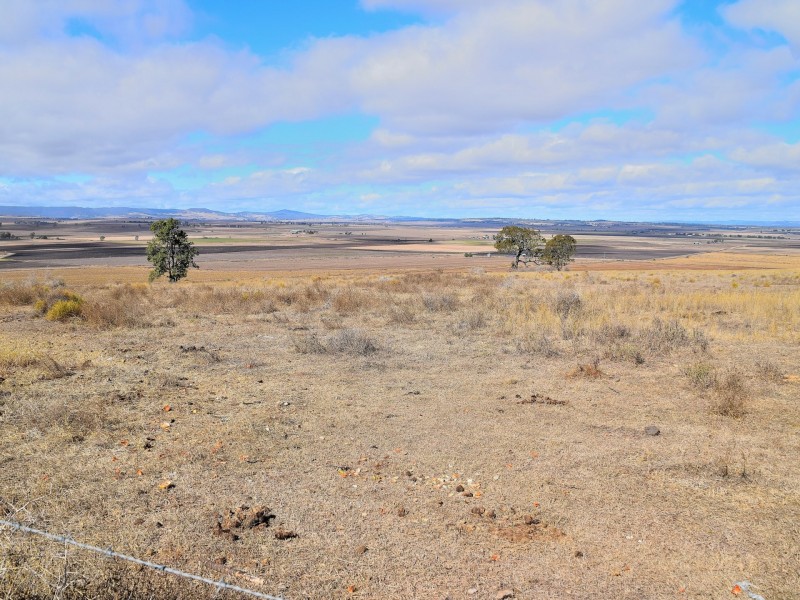 1424 Junabee Road, Junabee QLD 4370