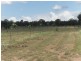 167 Rodgers Creek Road, Cunningham QLD 4370