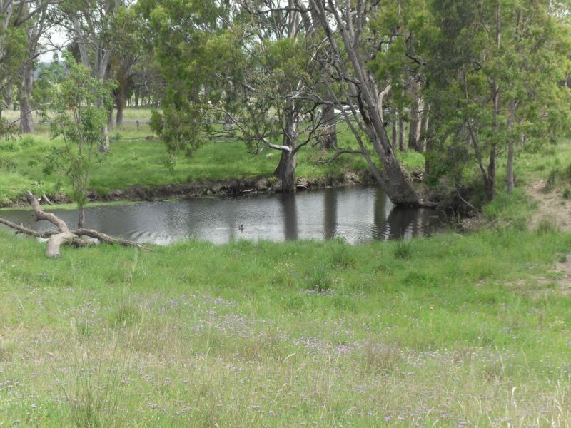 167 Rodgers Creek Road, Cunningham QLD 4370