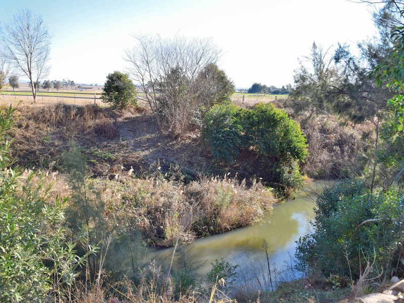 44 Willow Street, Killarney QLD 4373