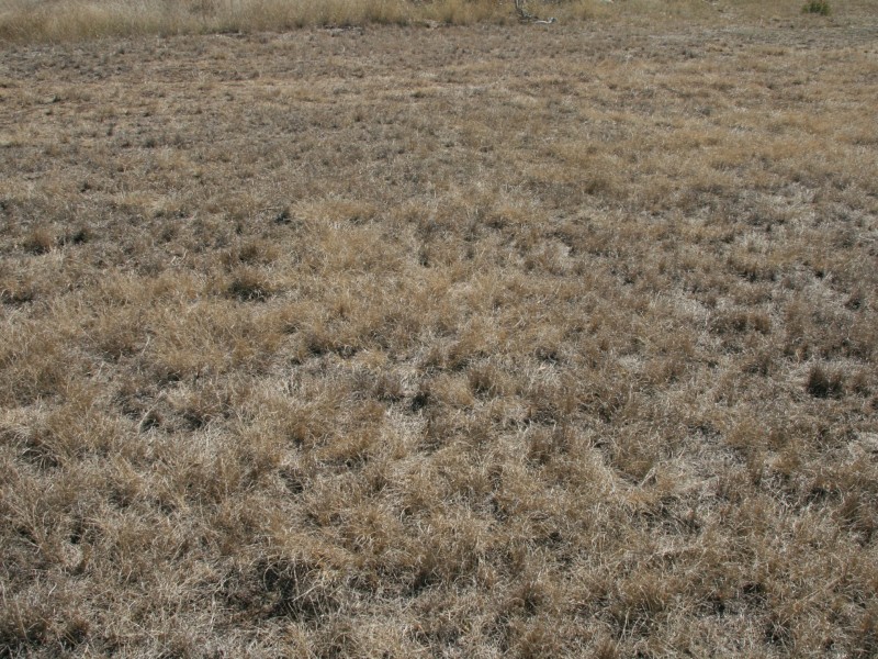 Lot 28 Hodgson Street, Maryvale QLD 4370