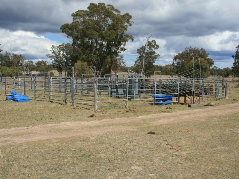 838 Wrights Road, Inglewood QLD 4387