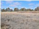 Lot 6-7 Thanes Creek Road, Thane QLD 4370