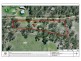 117 Ahern Lane, Pratten QLD 4370