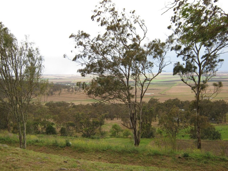 9 Amarina Avenue, Sladevale QLD 4370