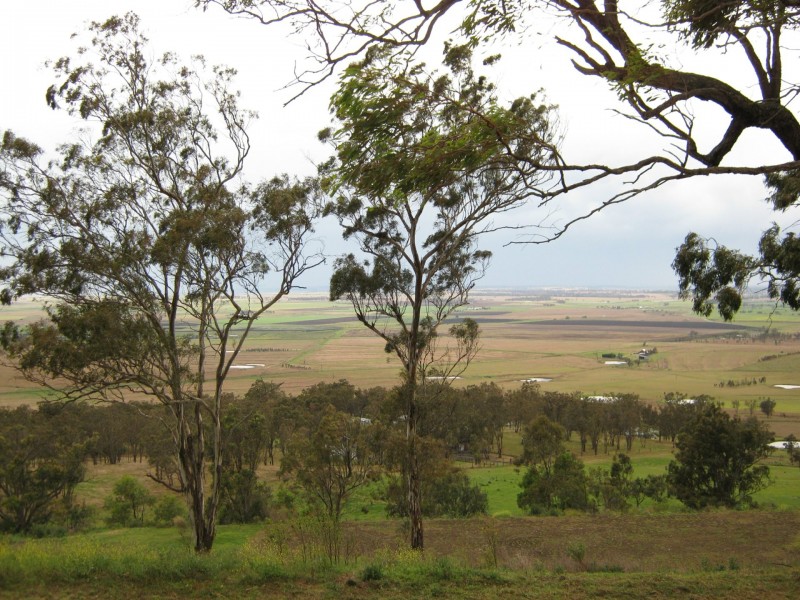 9 Amarina Avenue, Sladevale QLD 4370