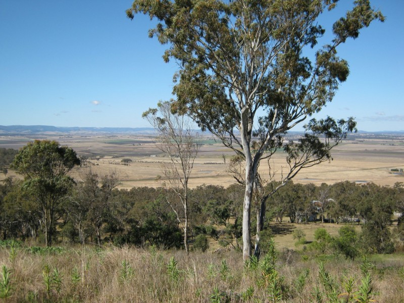 9 Amarina Avenue, Sladevale QLD 4370