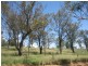 Lot 11 CPM Ogilvie Road, Warwick QLD 4370