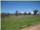 Lot 11 CPM Ogilvie Road, Warwick QLD 4370