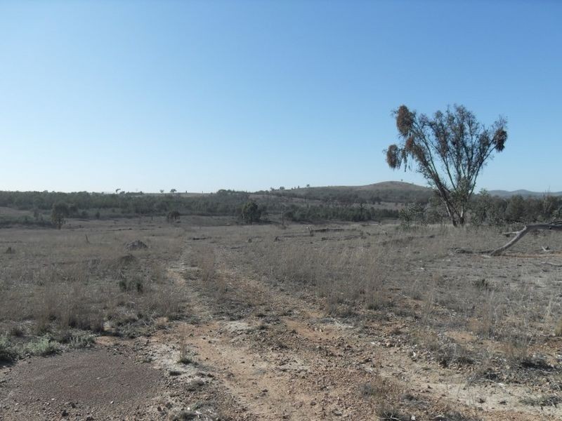 Warwick QLD 4370
