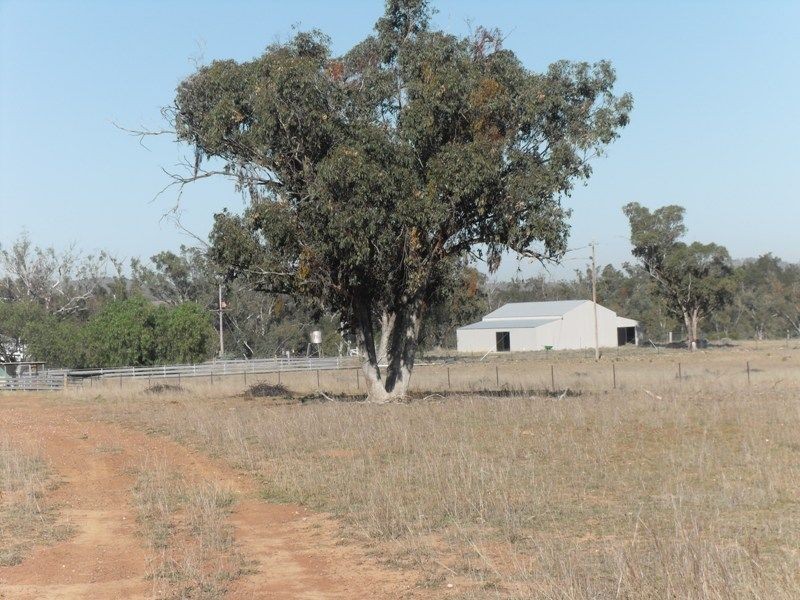 Warwick QLD 4370