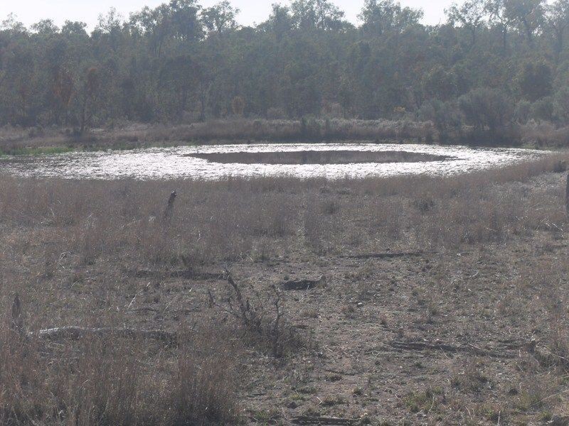 Warwick QLD 4370