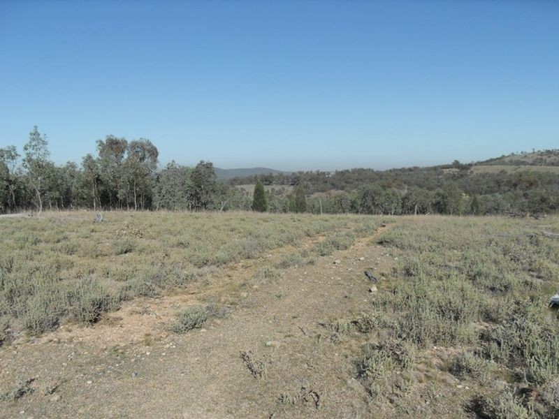 Warwick QLD 4370
