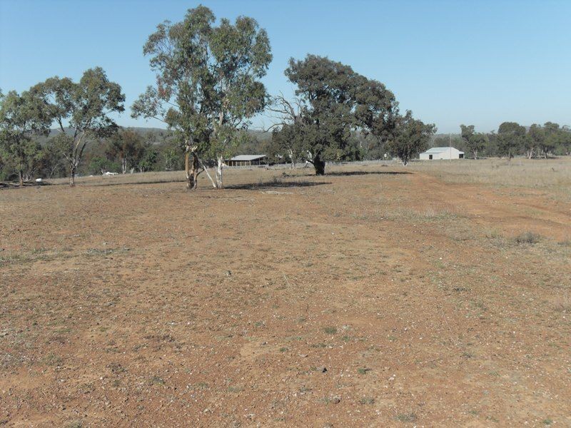Warwick QLD 4370