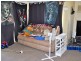 116 Wallace Street, Warwick QLD 4370