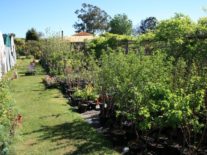 49 Alexander Drive, Warwick QLD 4370