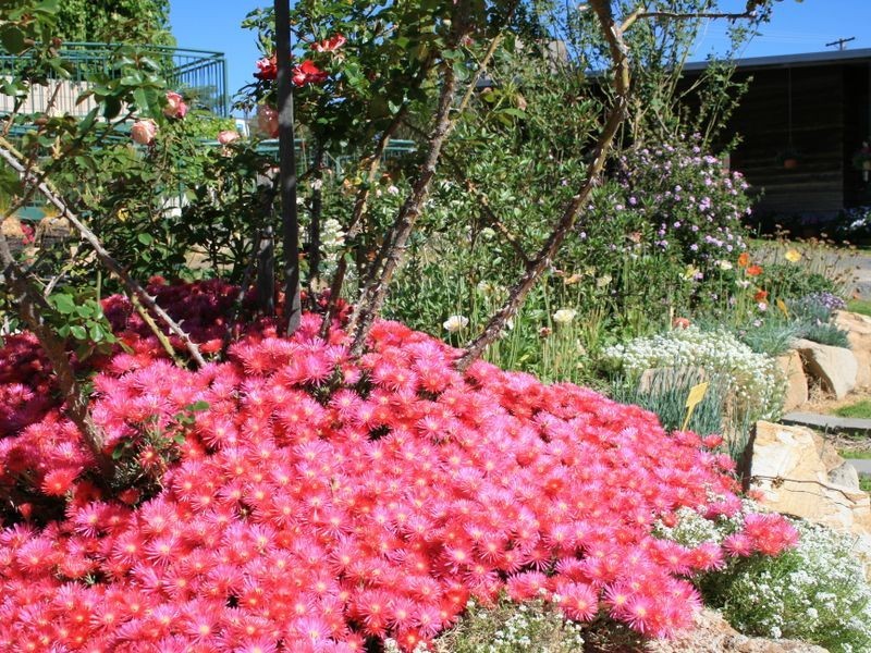 49 Alexander Drive, Warwick QLD 4370