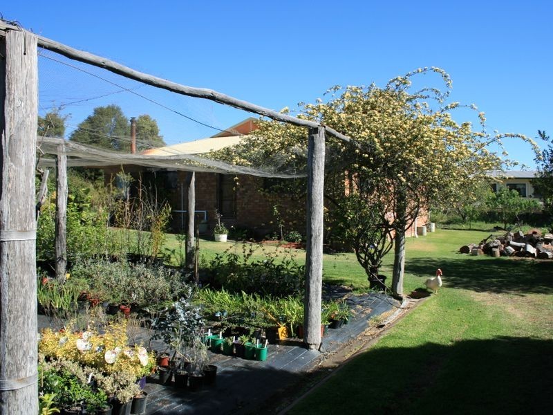 49 Alexander Drive, Warwick QLD 4370