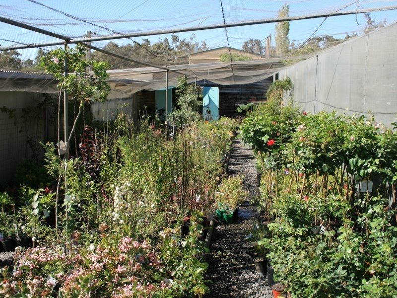 49 Alexander Drive, Warwick QLD 4370