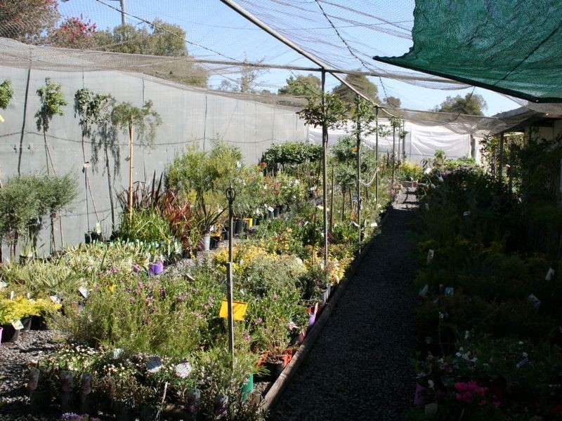 49 Alexander Drive, Warwick QLD 4370