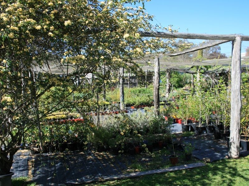 49 Alexander Drive, Warwick QLD 4370