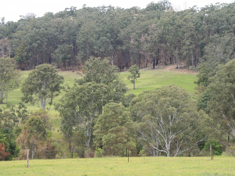 10654 Mount Lindesay Road, Koreelah NSW 2476