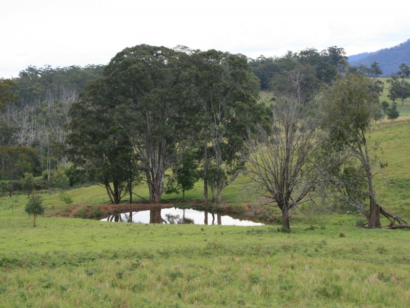 10654 Mount Lindesay Road, Koreelah NSW 2476