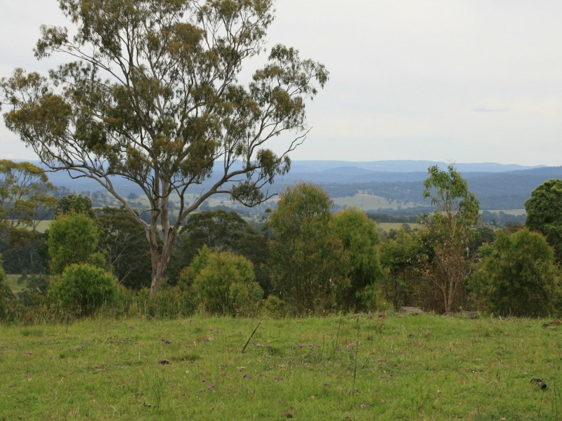 10654 Mount Lindesay Road, Koreelah NSW 2476