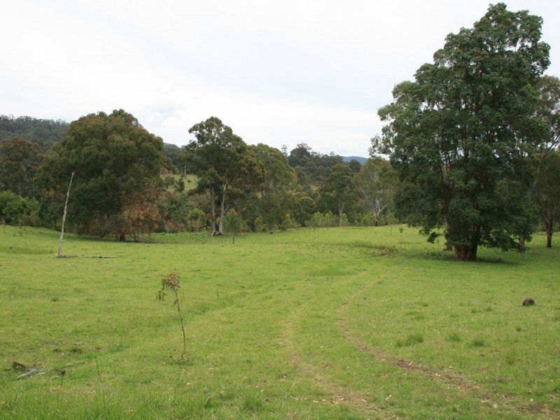 10654 Mount Lindesay Road, Koreelah NSW 2476