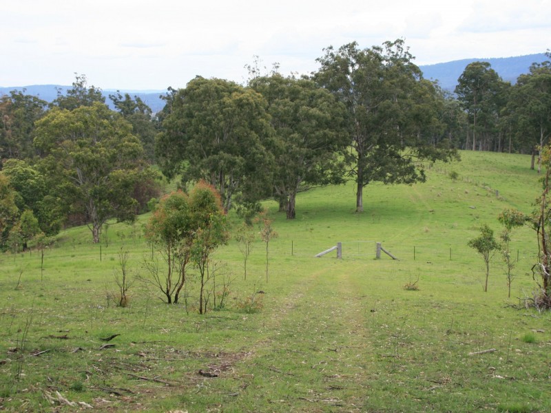 10654 Mount Lindesay Road, Koreelah NSW 2476