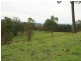 10654 Mount Lindesay Road, Koreelah NSW 2476