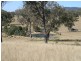 1 Old Stanthorpe Road, Dalveen QLD 4374