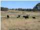 1 Old Stanthorpe Road, Dalveen QLD 4374