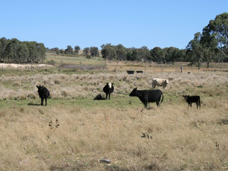 1 Old Stanthorpe Road, Dalveen QLD 4374